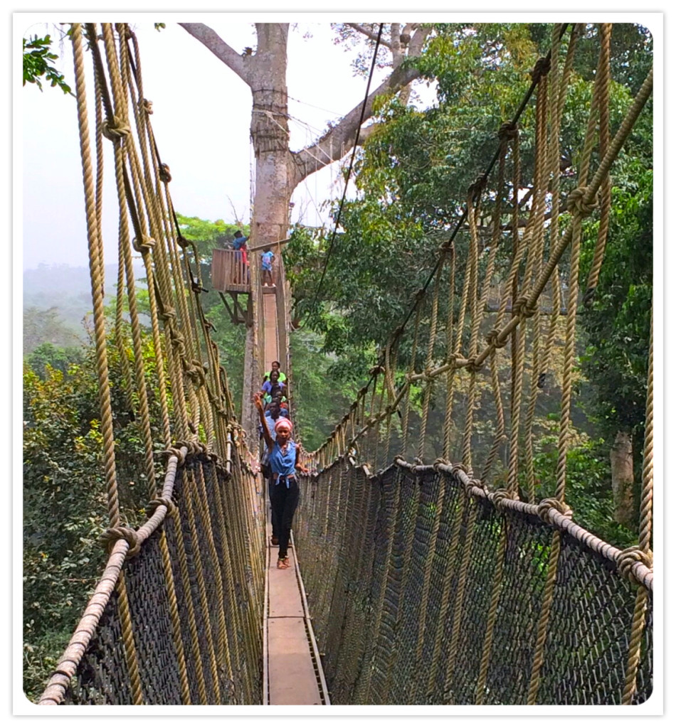 Bordered Canopy Walk